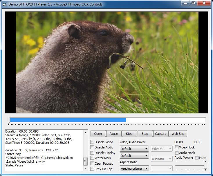 Screenshot of Video Player Demo - ActiveX FFmpeg OCX Controls